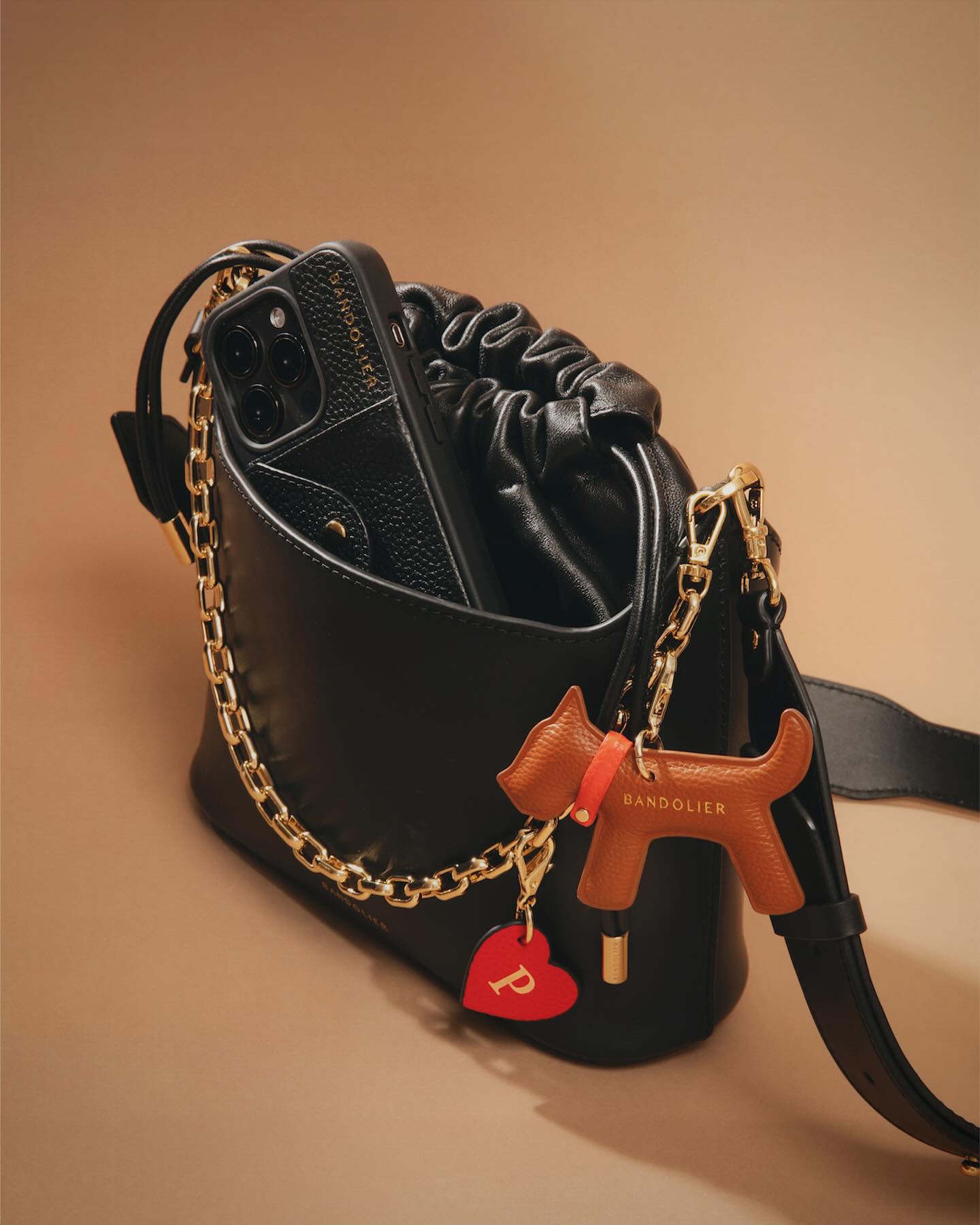 The bag that
