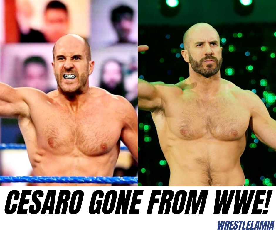 Cesaro Cesaro Reveals What Specifically Interests Him About A