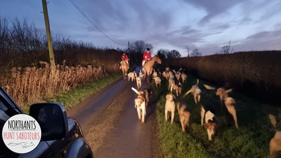 Northants Hunt Saboteurs - We have just finished sabbing the Cottesmore ...