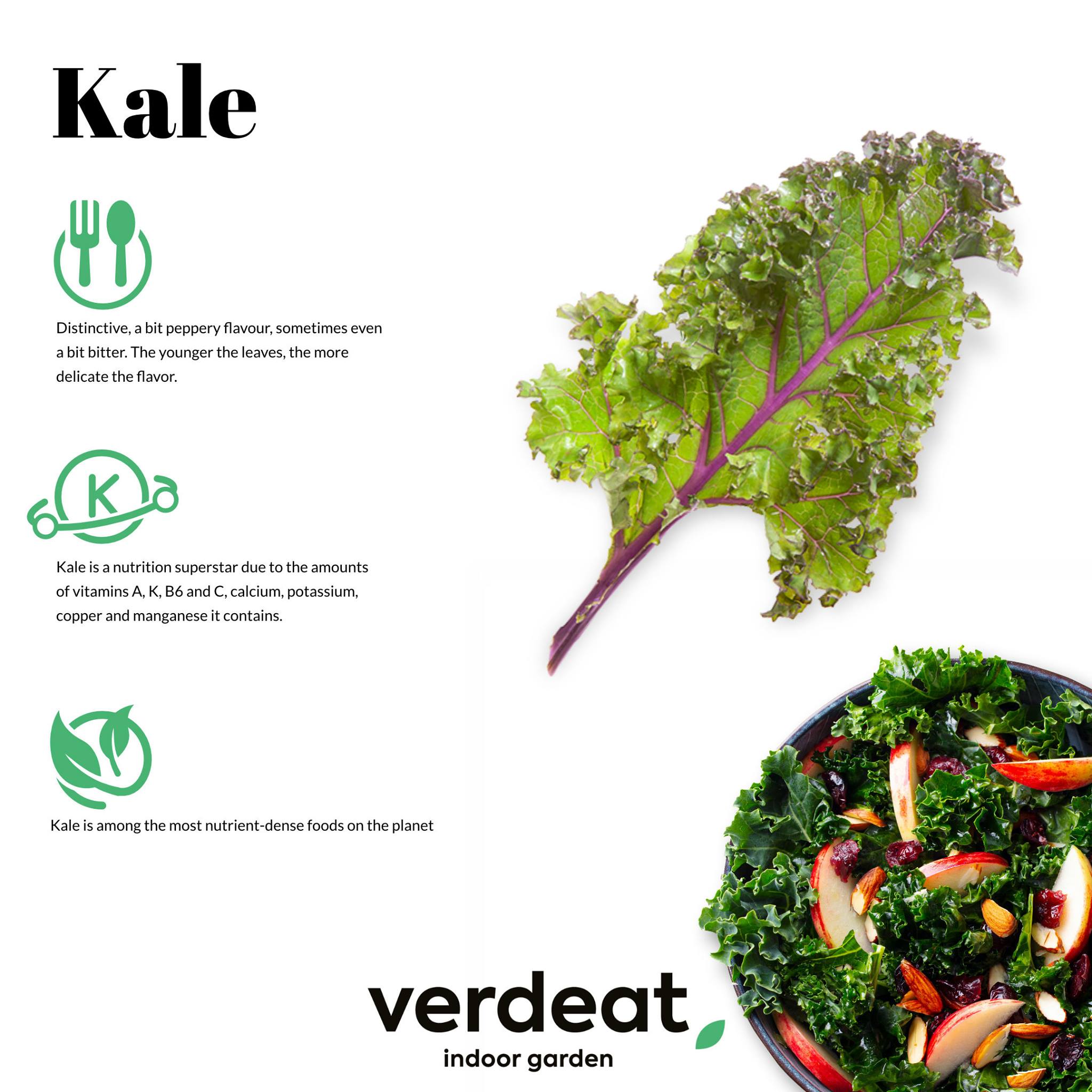 Verdeat