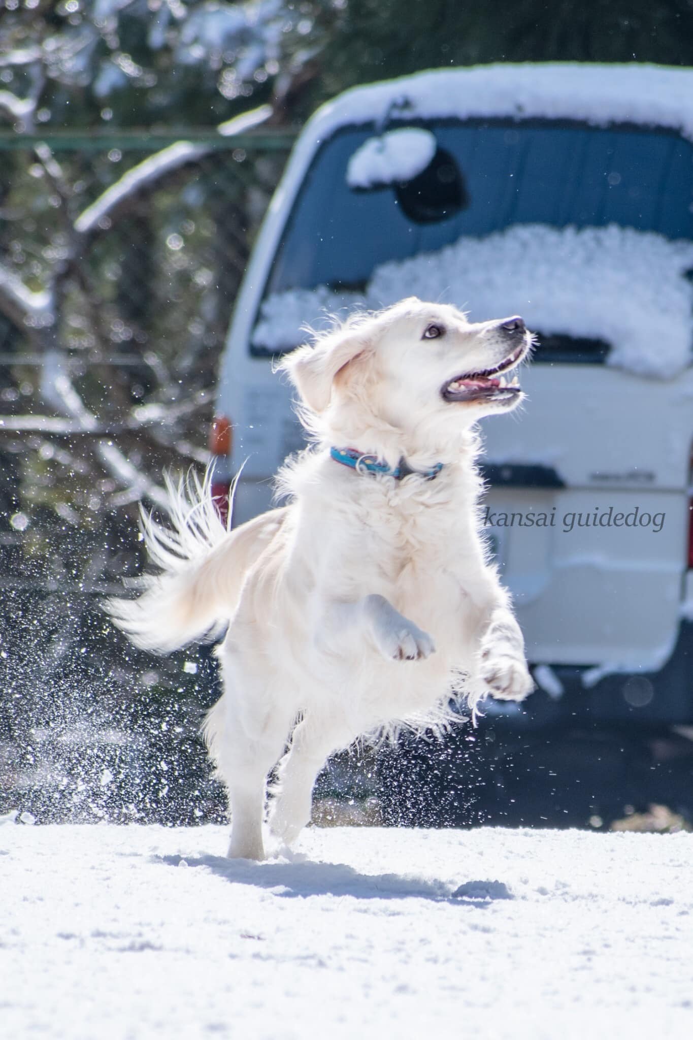 Hello, this is Maggy! It snowed on and off all day today. I was so ...