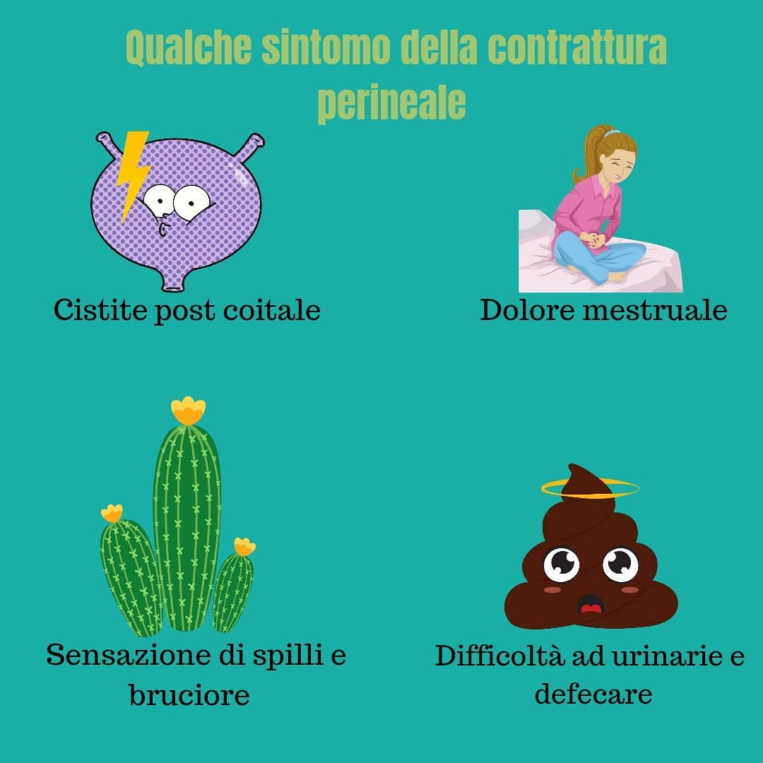 Dott.ssa Giulia Antoniolli - Riabilitazione del pavimento pelvico ...