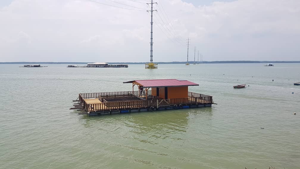 Rakit Zan Telok Sengat Kota Tinggi Johor | Kota Tinggi