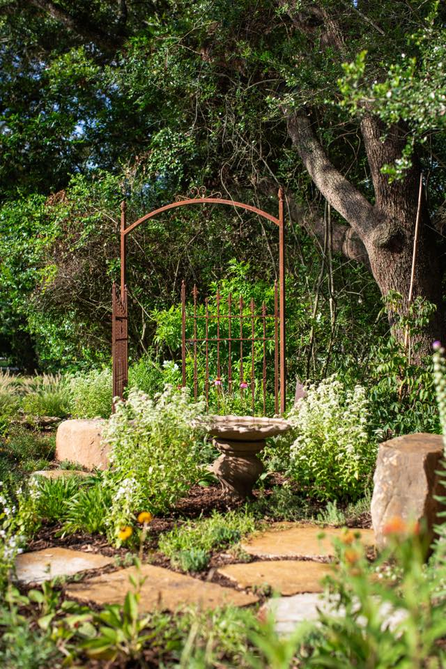 New Roots Landscaping | Houston TX