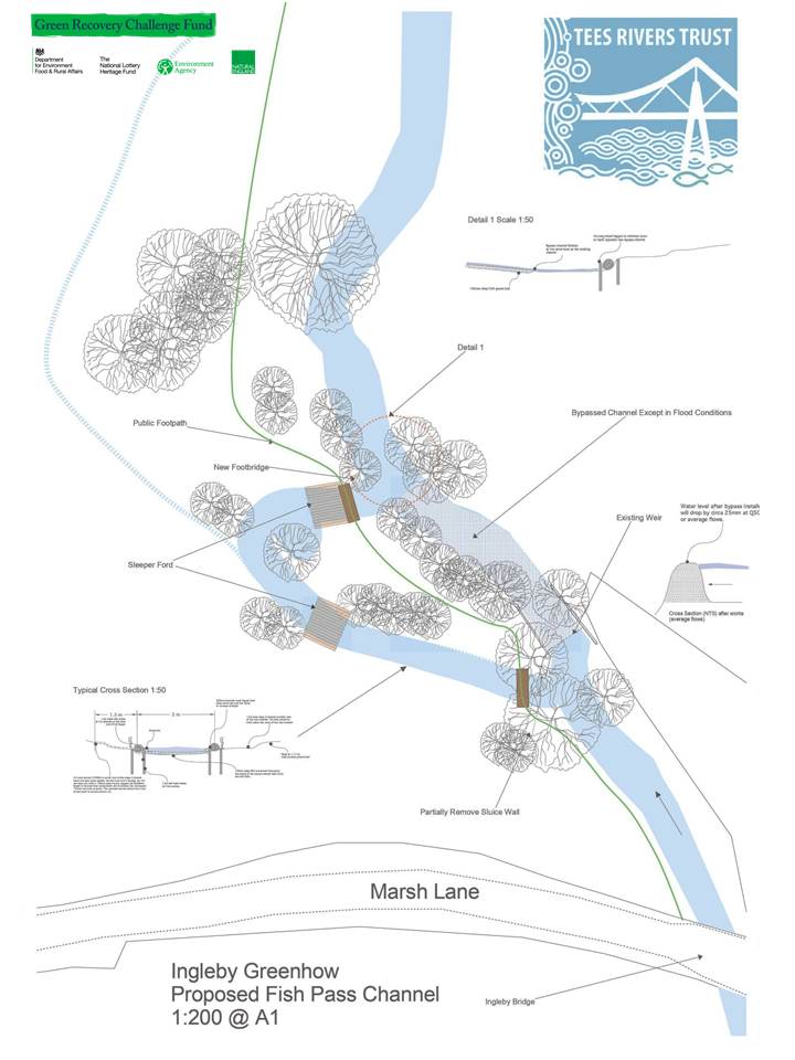 We are working to improve fish... - The Tees Rivers Trust