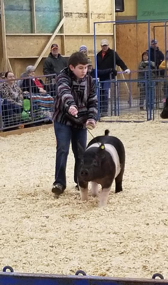 Locust Creek Elite Showpigs - Congrats to the Booth Family with their ...