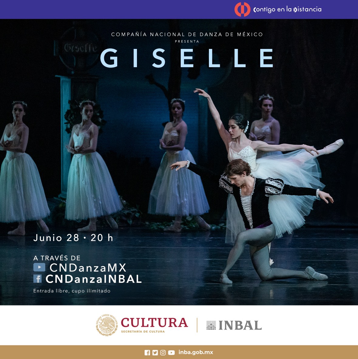 Clases de Danza | Mexico City