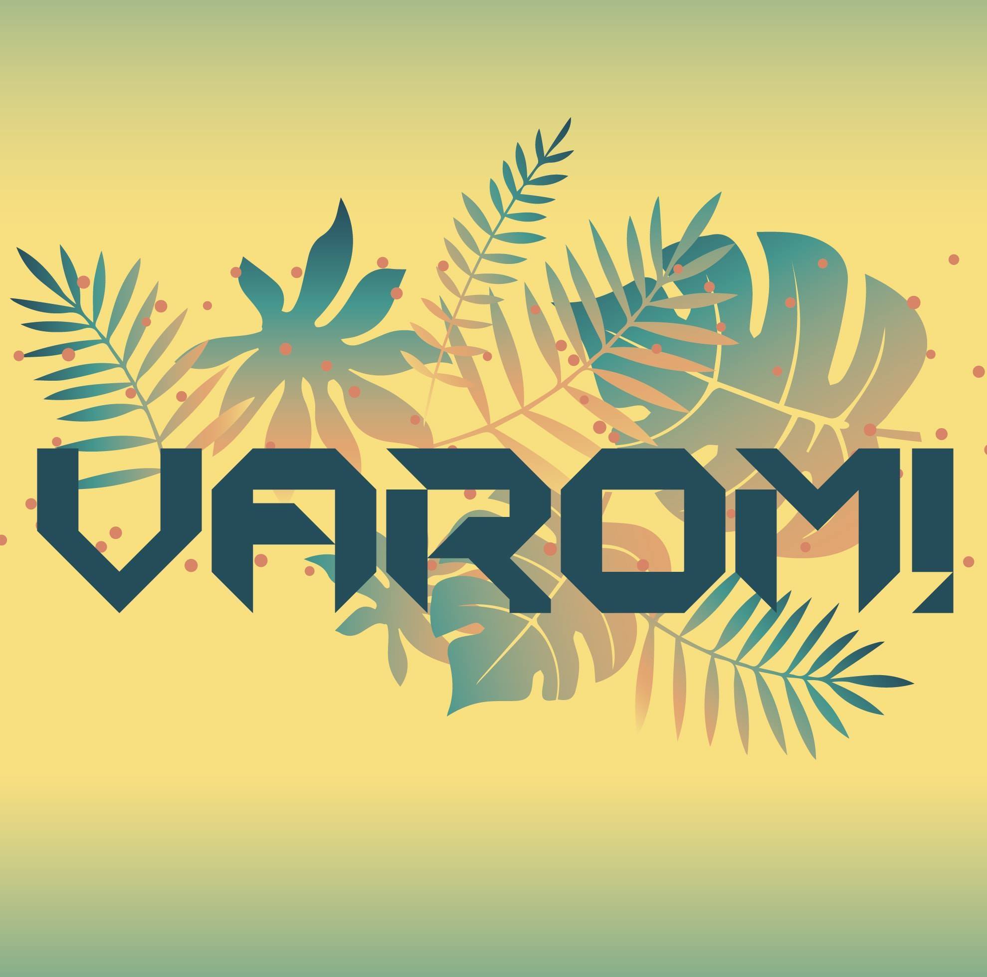 VAROM - VAROM added a new photo — with Simonas Dailidė at...