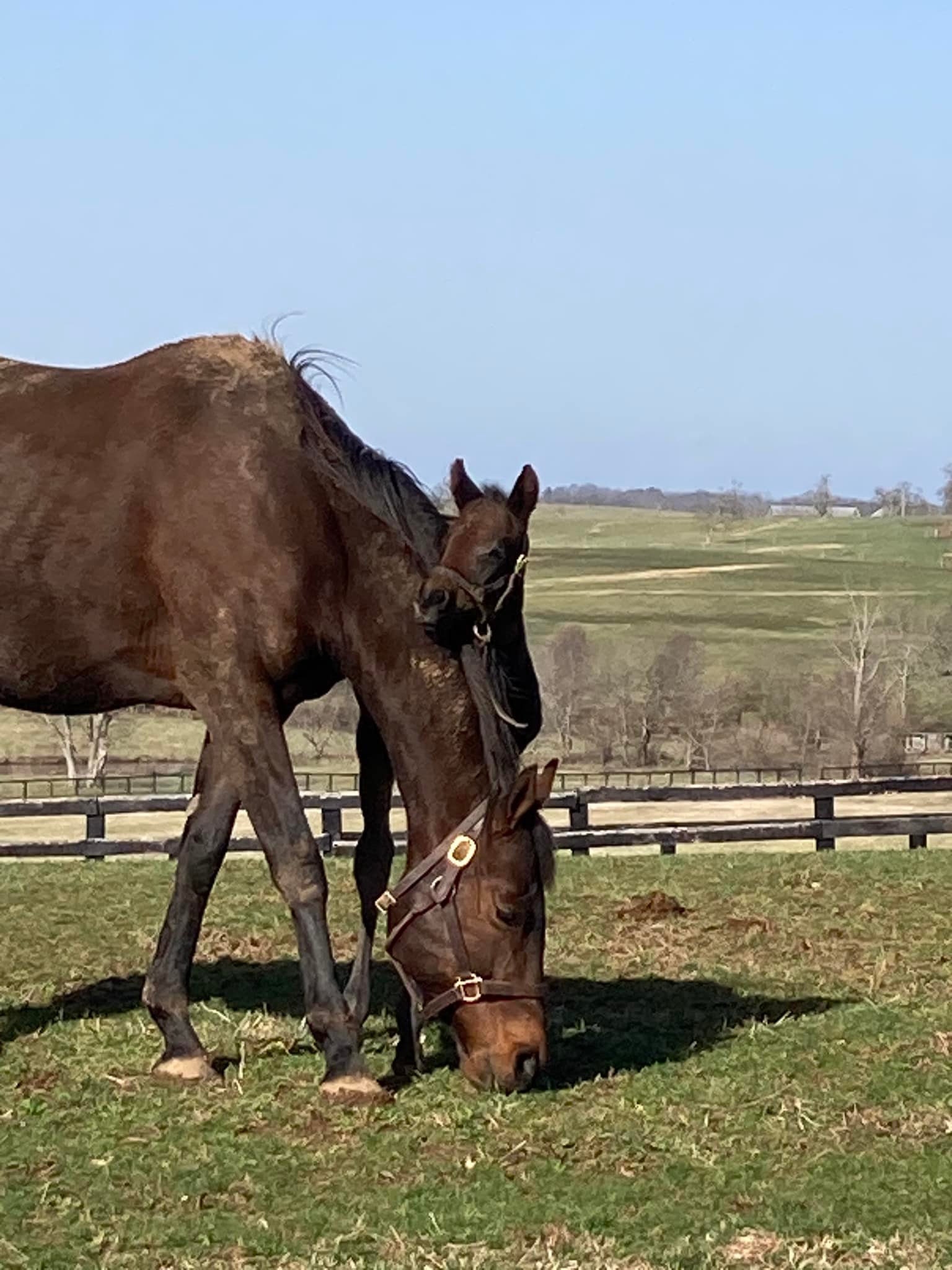 Windy Ridge Stables | Middletown CT