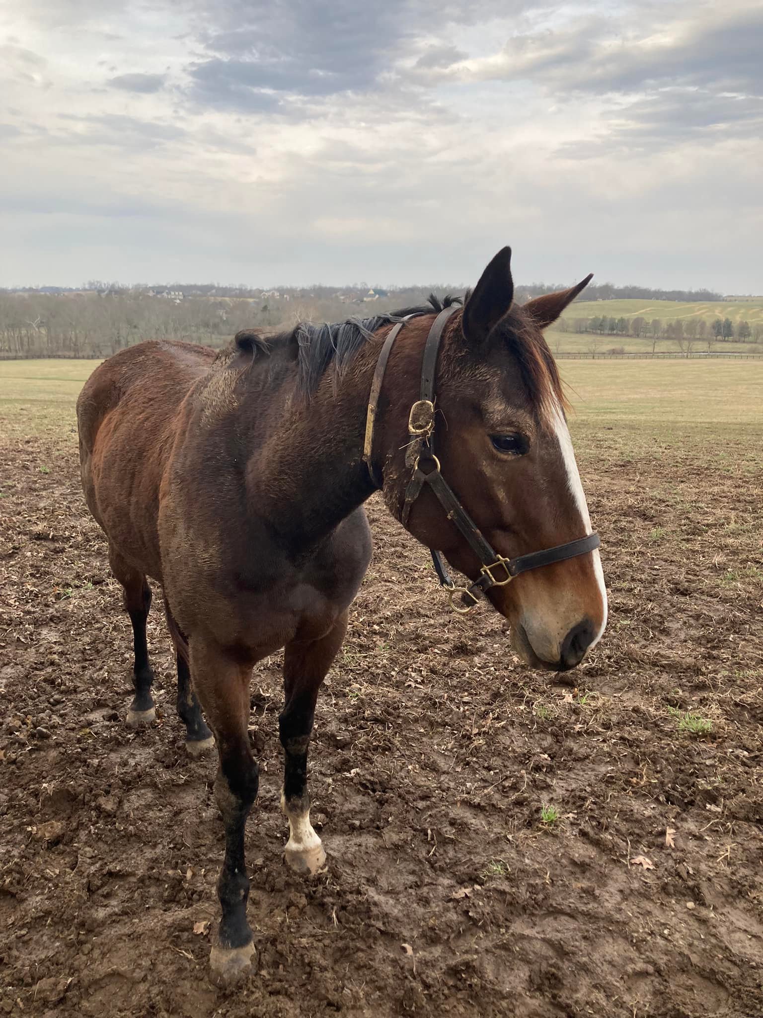 Windy Ridge Stables | Middletown CT
