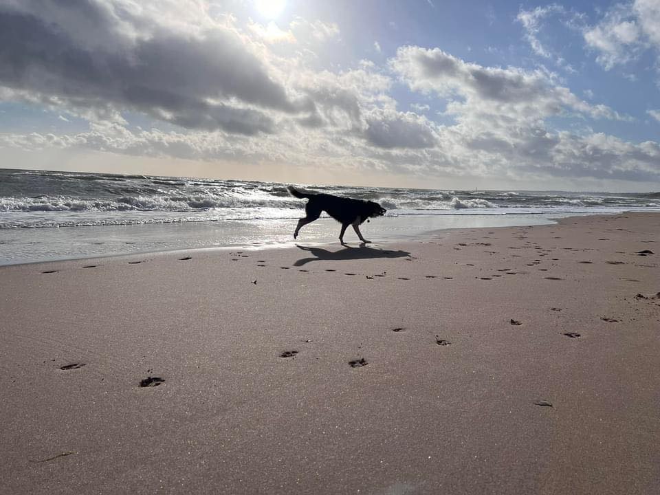 Watson's Walks | Forfar