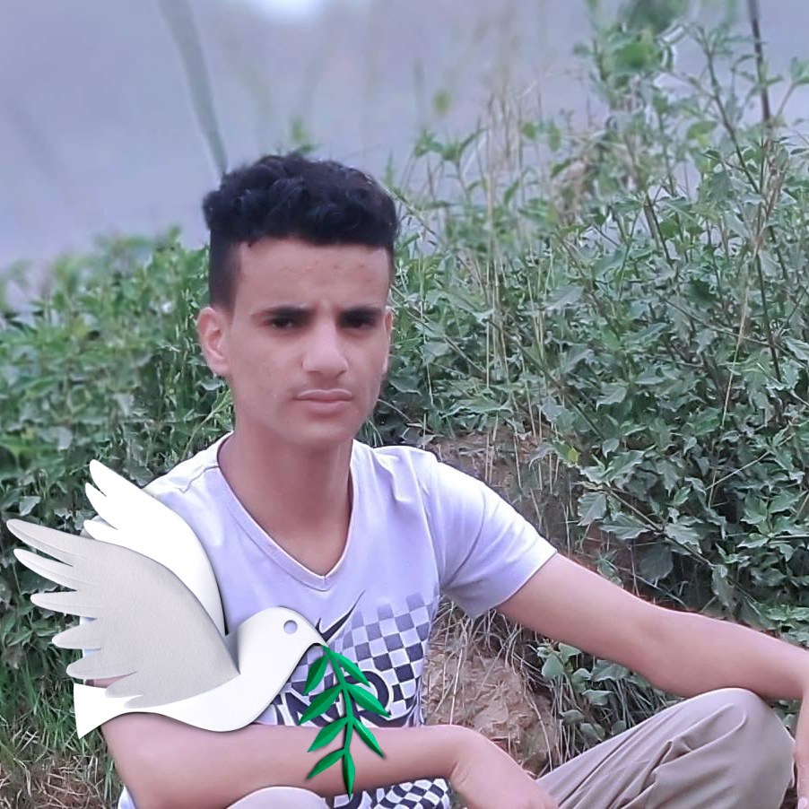 محمد سنان ابوحيدر البرطي