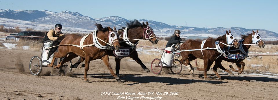 Worl... - World Champion Cutter and Chariot Racing Association