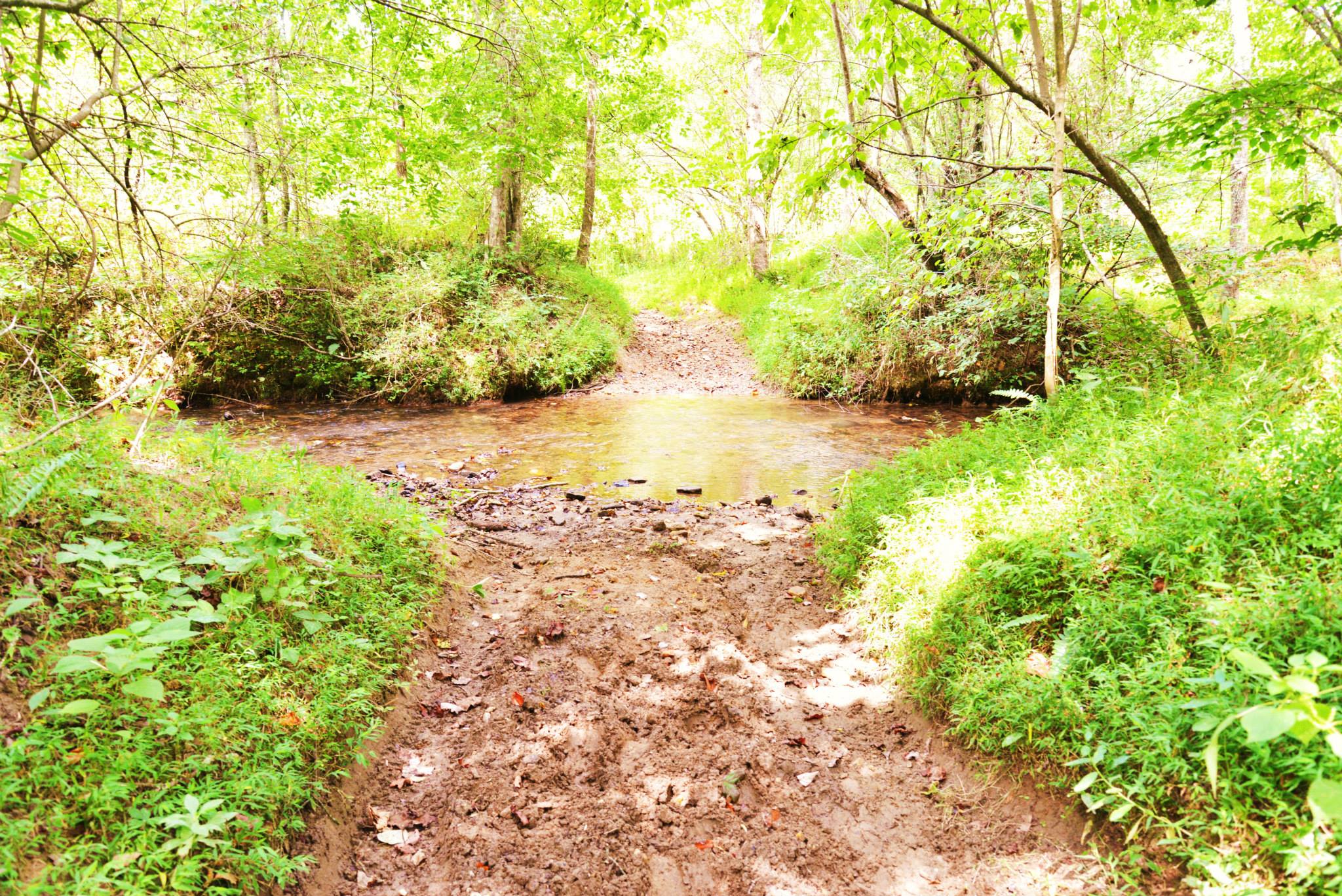 Blan... - Blanche Manor Horseback Riding at Blissful Owl Ranch