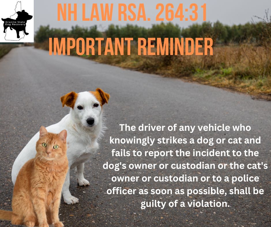 NH LAW RSA 264:31. The... - Granite State Dog Recovery | Facebook