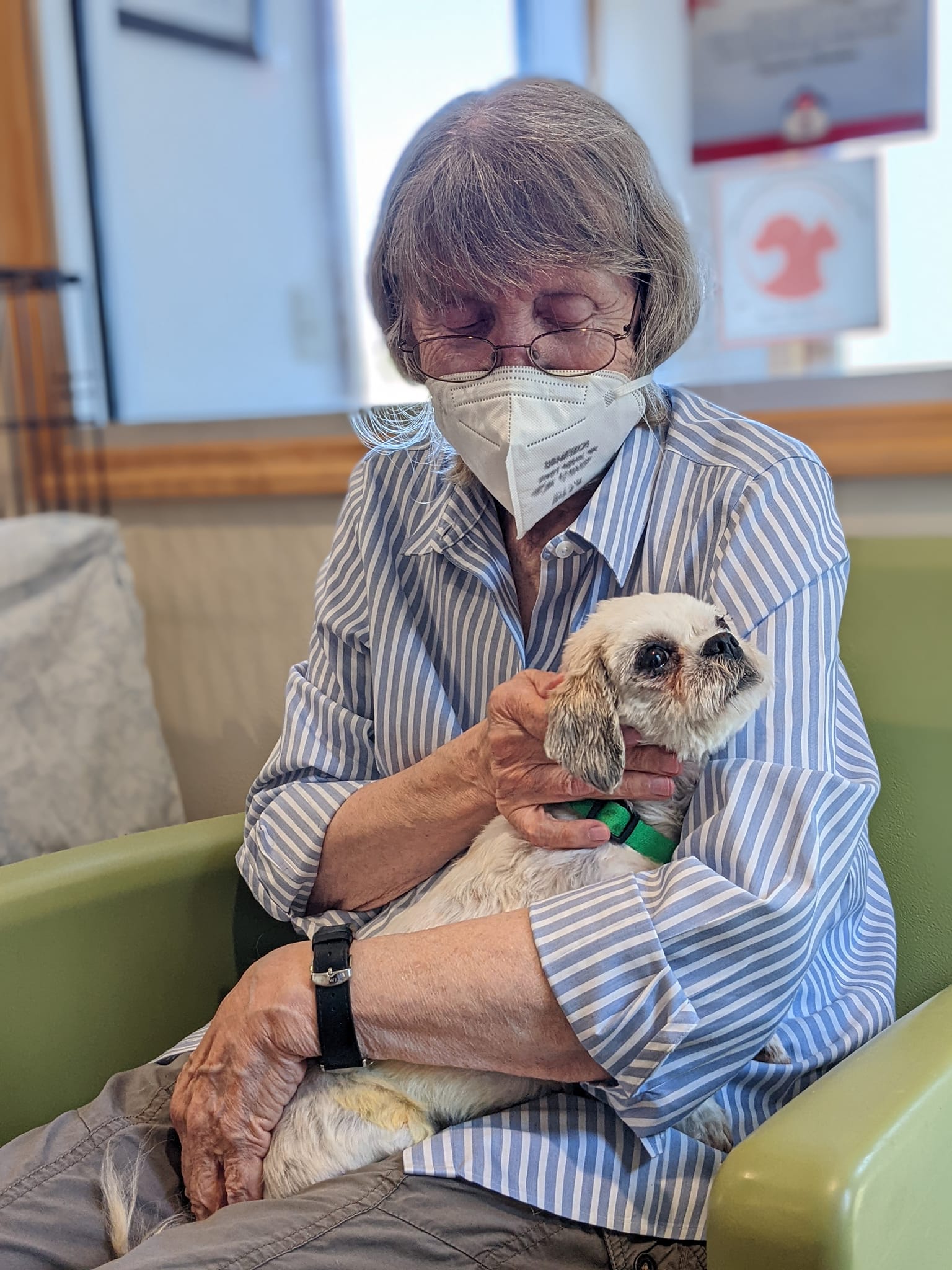 These little ones flew... - Chequamegon Humane Association | Facebook