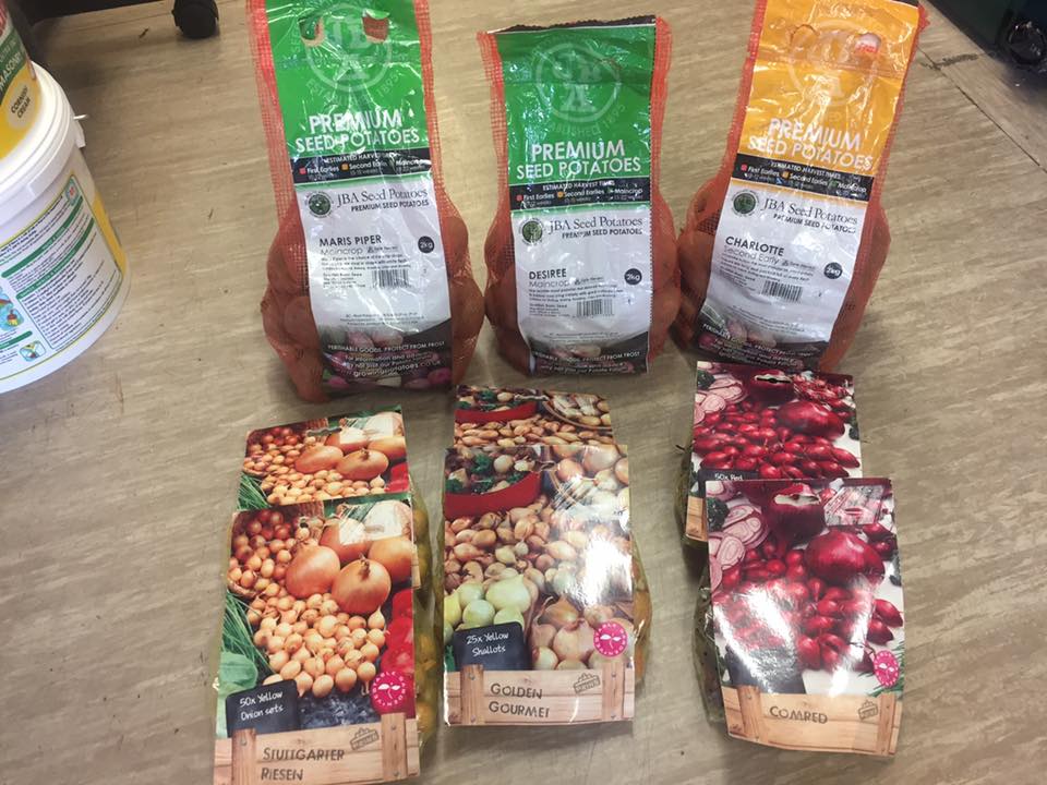 Torpoint Hardware DIY - We now have seed potatoes and onion sets in ...
