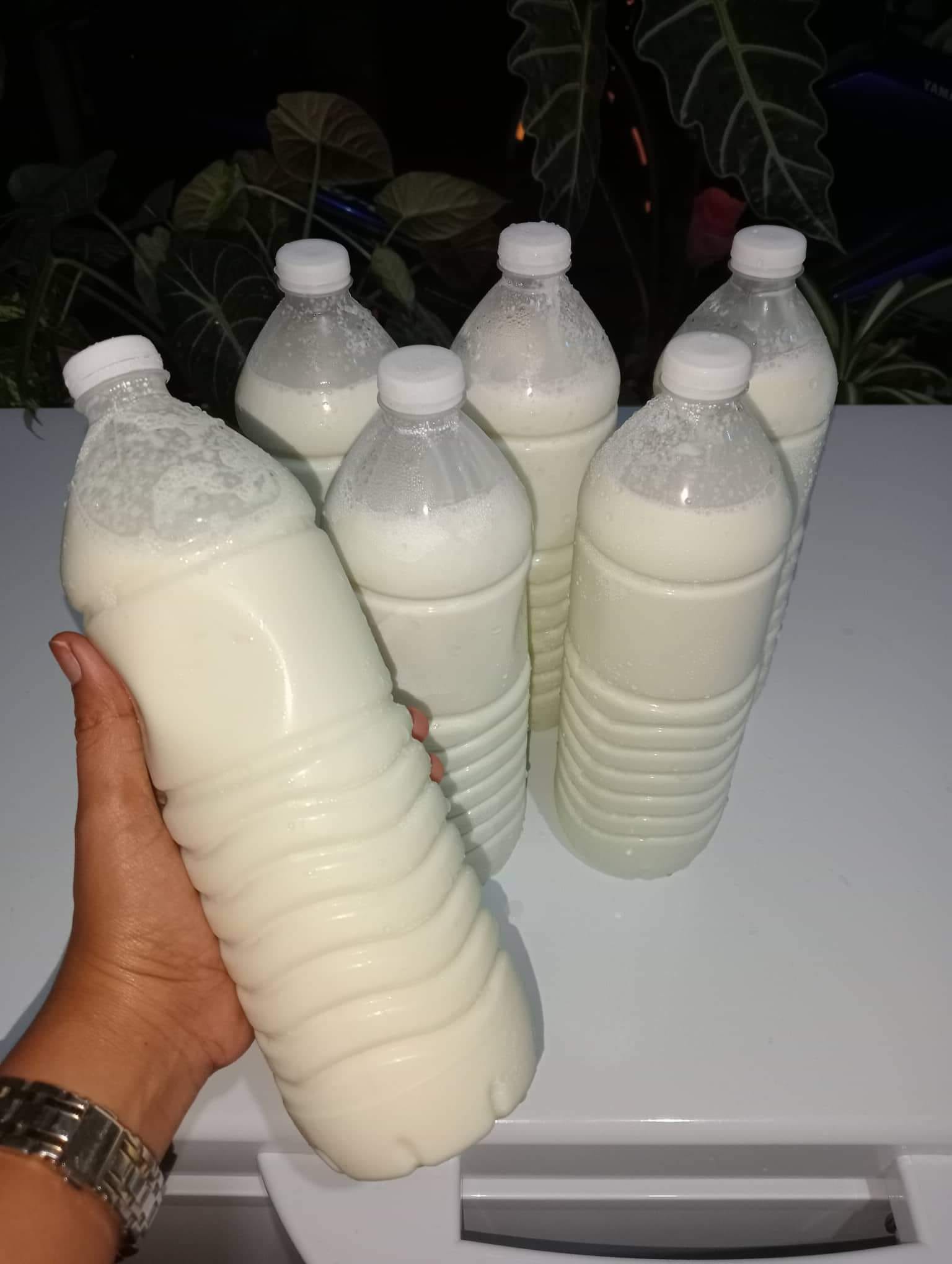 FRESH FROM THE FARM🐮🐮🐮 Fresh Cow's... - El'Raque Online Shop