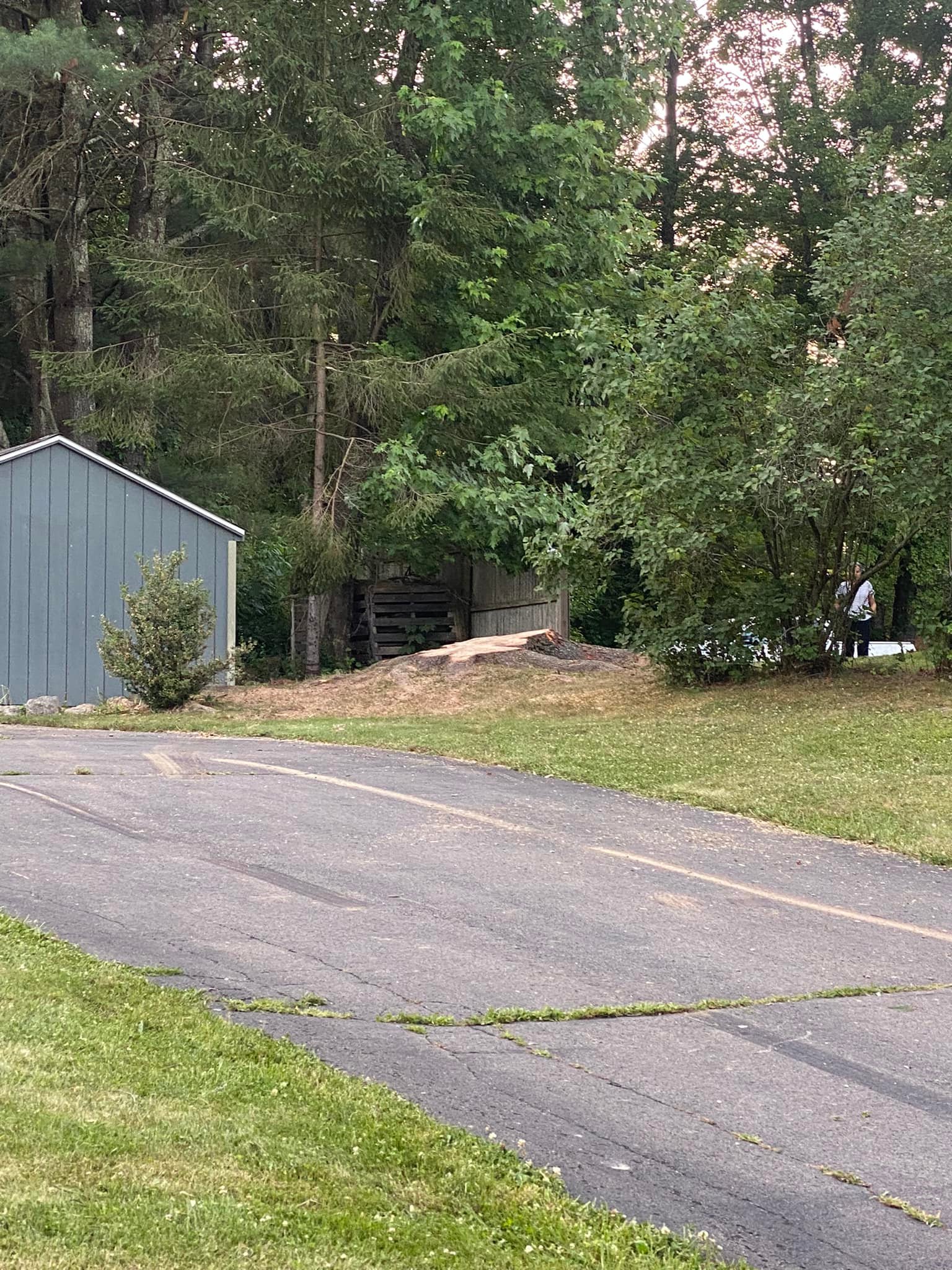 Top Notch Tree Care & Removal | Catskill NY