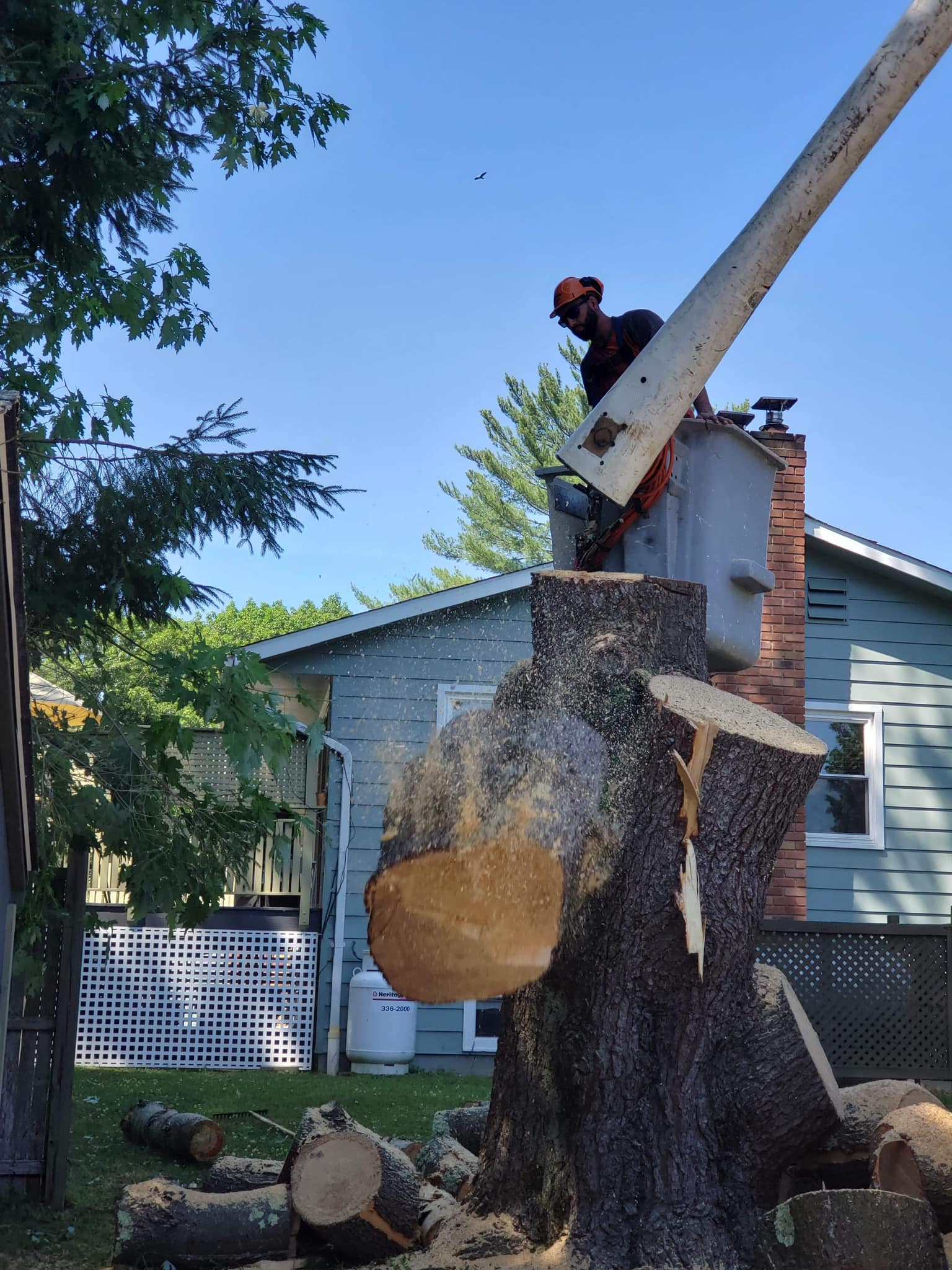 Top Notch Tree Care & Removal | Catskill NY