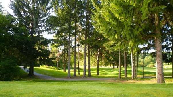 Timber Ridge Golf Club | East Lansing MI