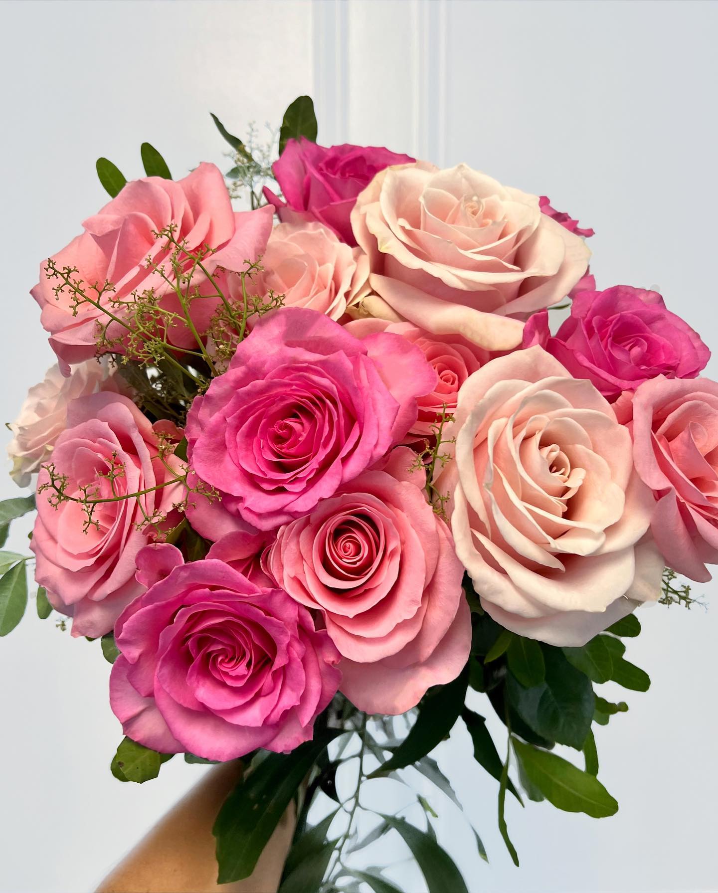 Rio Roses - Gift wrap your holidays in pink with Rio... | Facebook