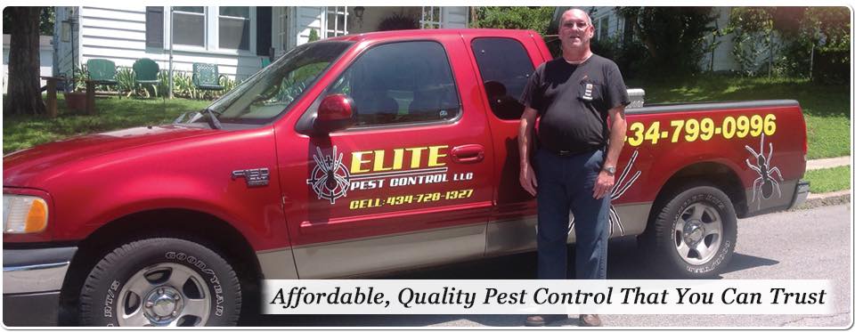 Cool Review About Pest Control Danville Va
