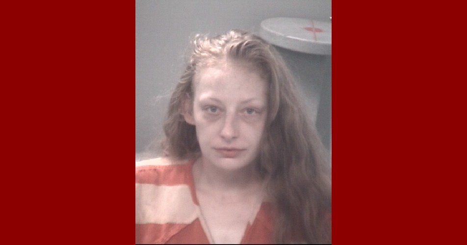 Pasco County Arrests &... - Pasco County Arrests & Mugshots