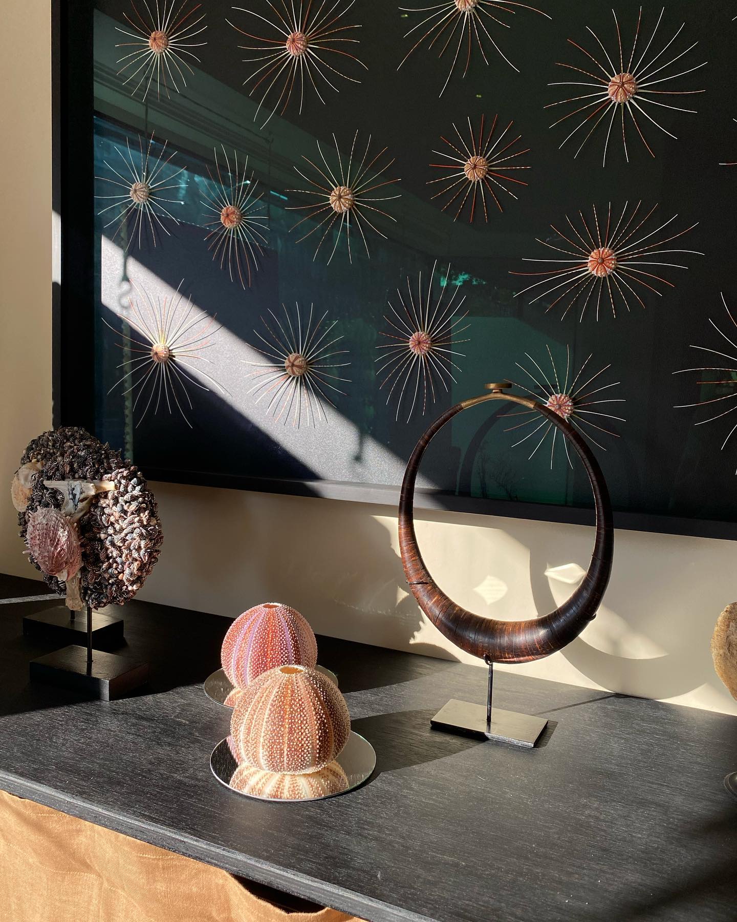 The afternoon light in the showroom... - Shellman Scandinavia | Facebook