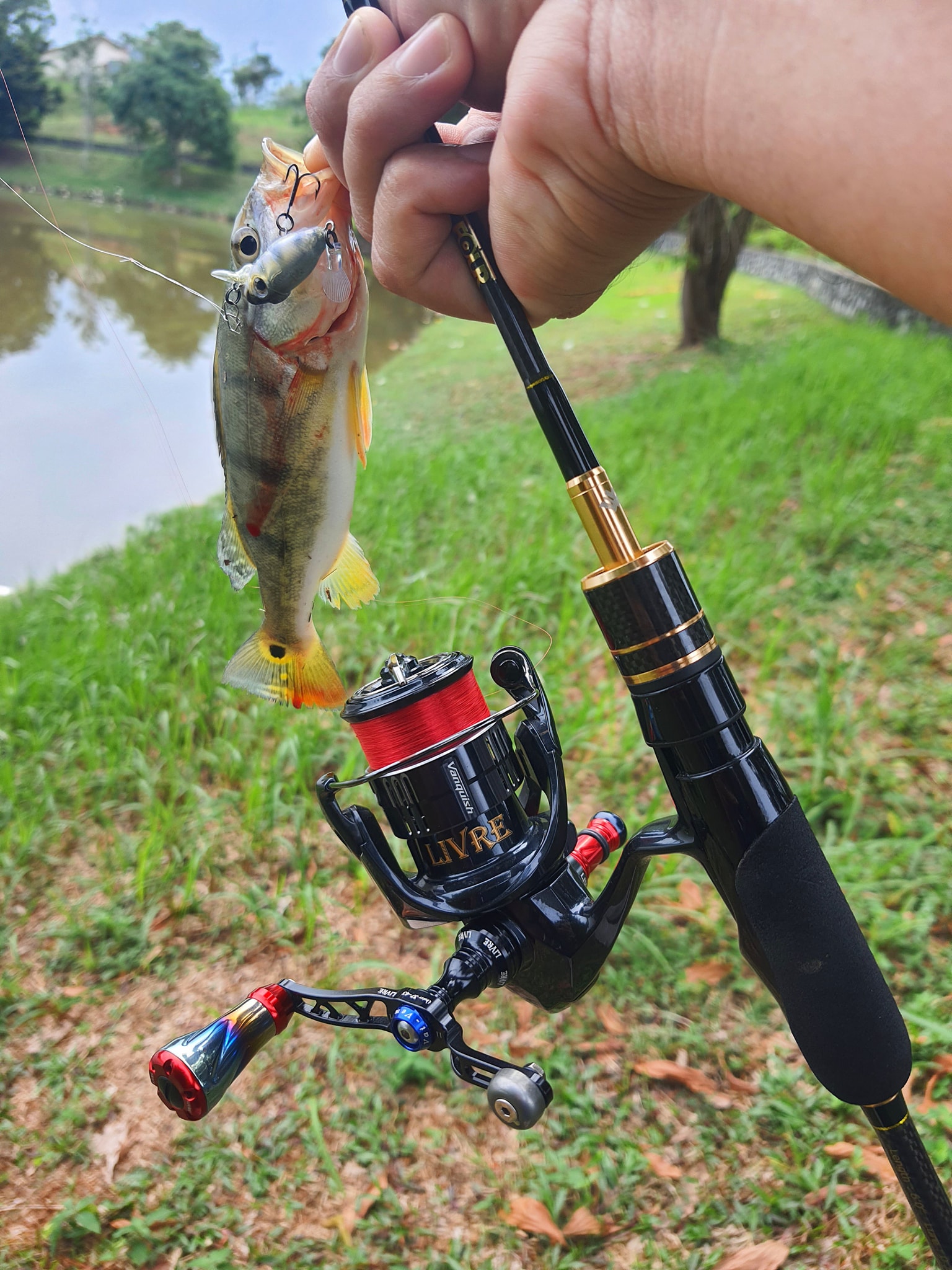 Testing new SP Rod : 34 ThirtyFour Advancement HSR-63 Ver.3 Reel