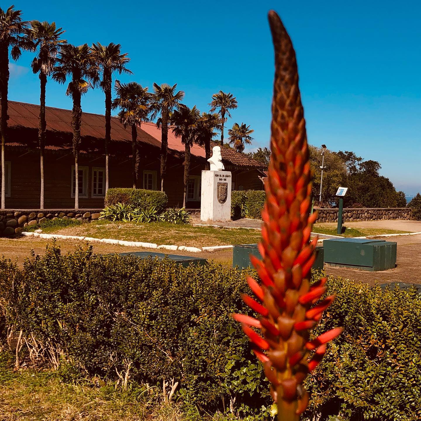 En el... - Parque Museo, Pedro del Río Zañartu