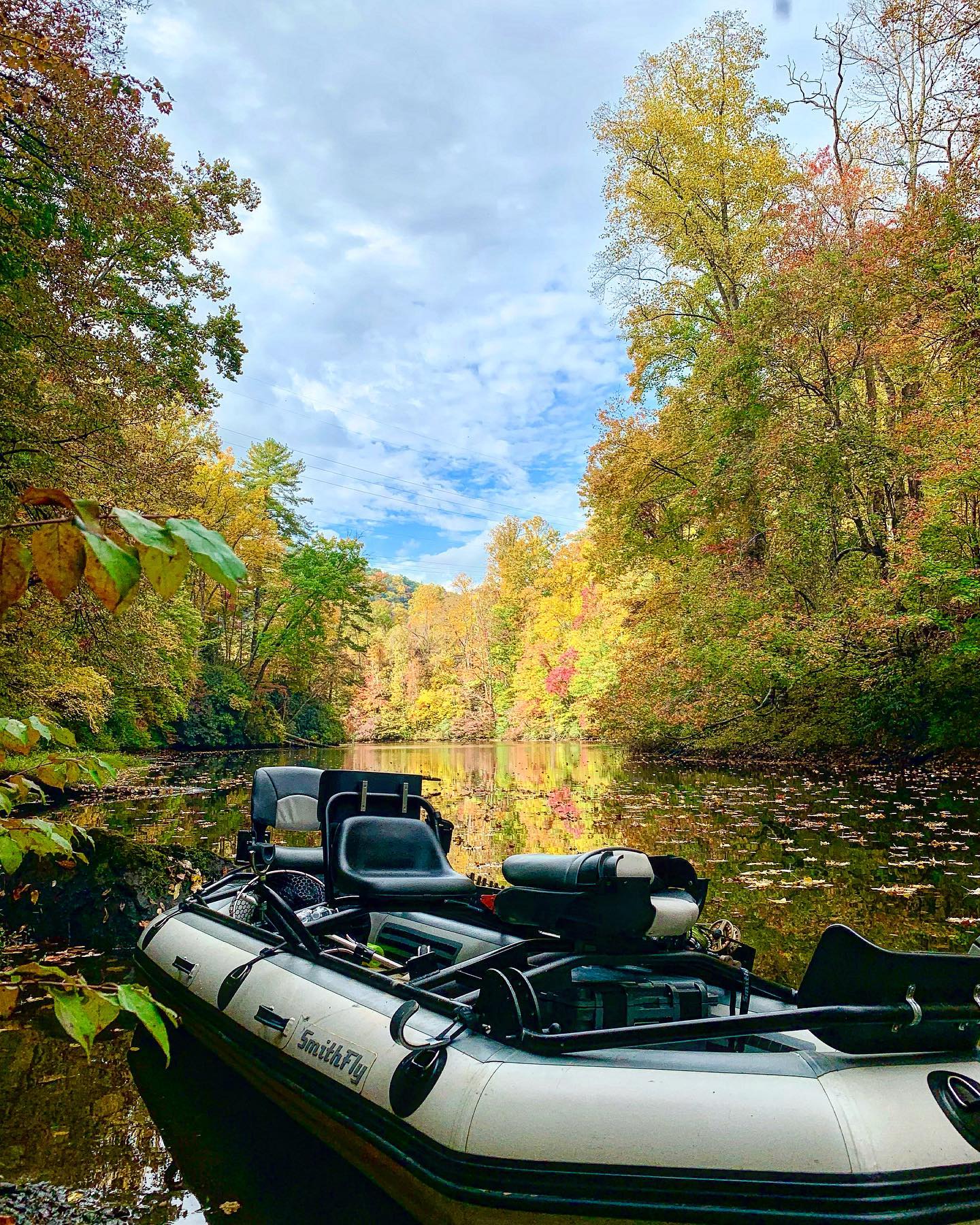 SmithFly - The fall foliage in in full swing! Above is the... | Facebook