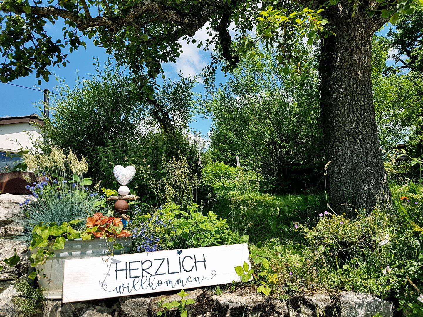 E schön's Heicho...... - Bio-Hof Dangern - Steinmühle Thommen | Facebook