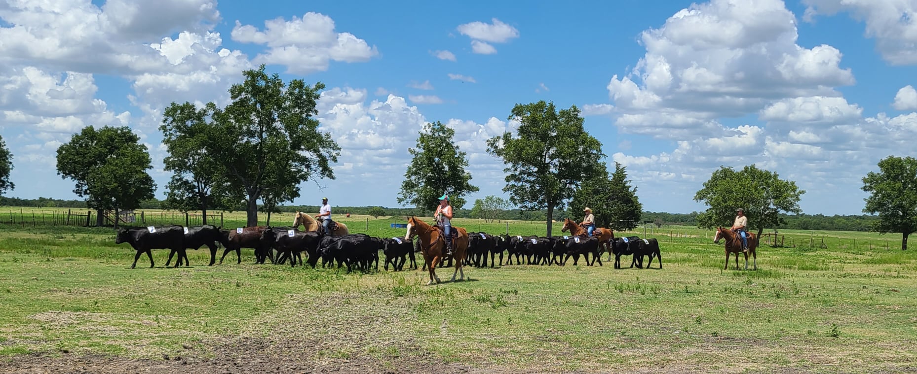 Infinity C Ranch ∞ added a new photo. - Infinity C Ranch ∞