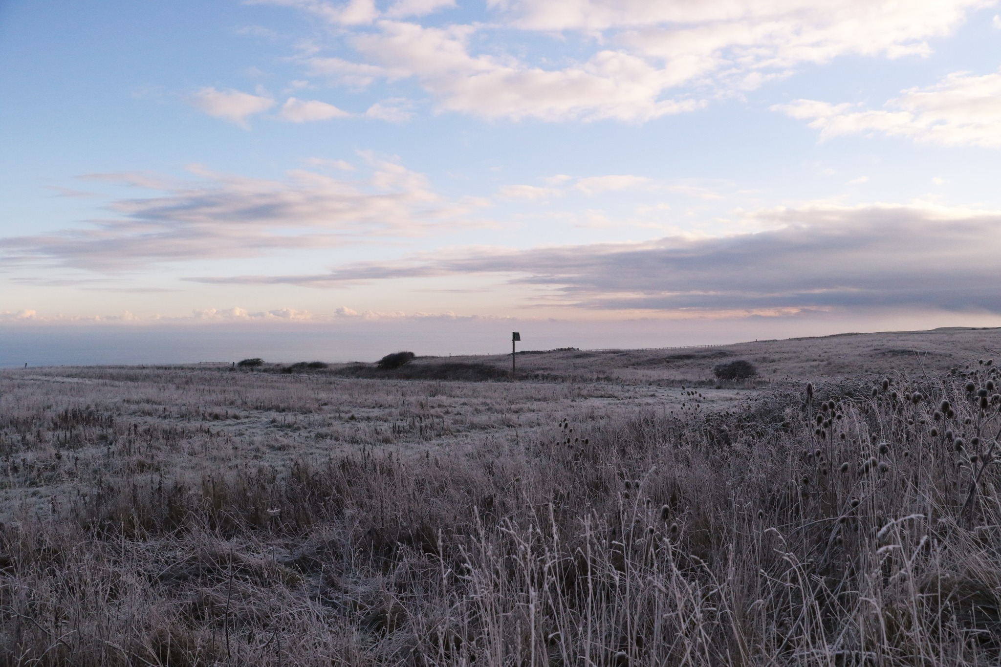 RSPB - A beautiful #winters morning at RSPB Bempton Cliffs ️Roads are ...