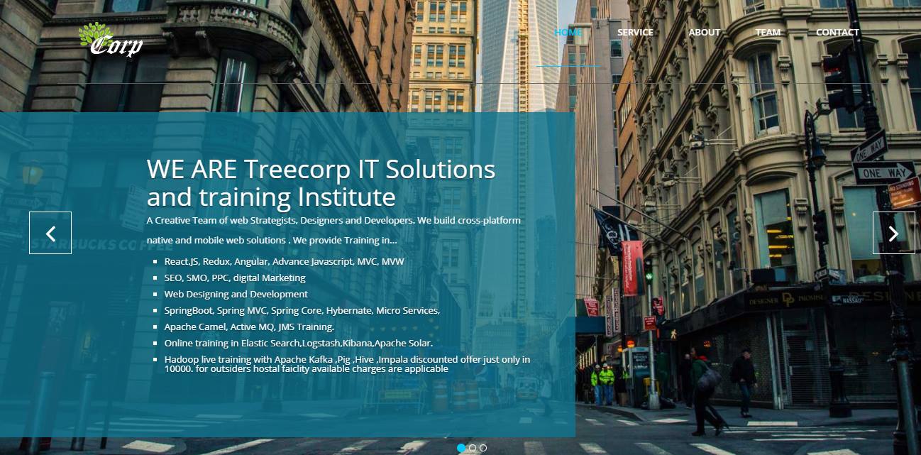 TreeCorp.in Training and placement in Advance Technologies