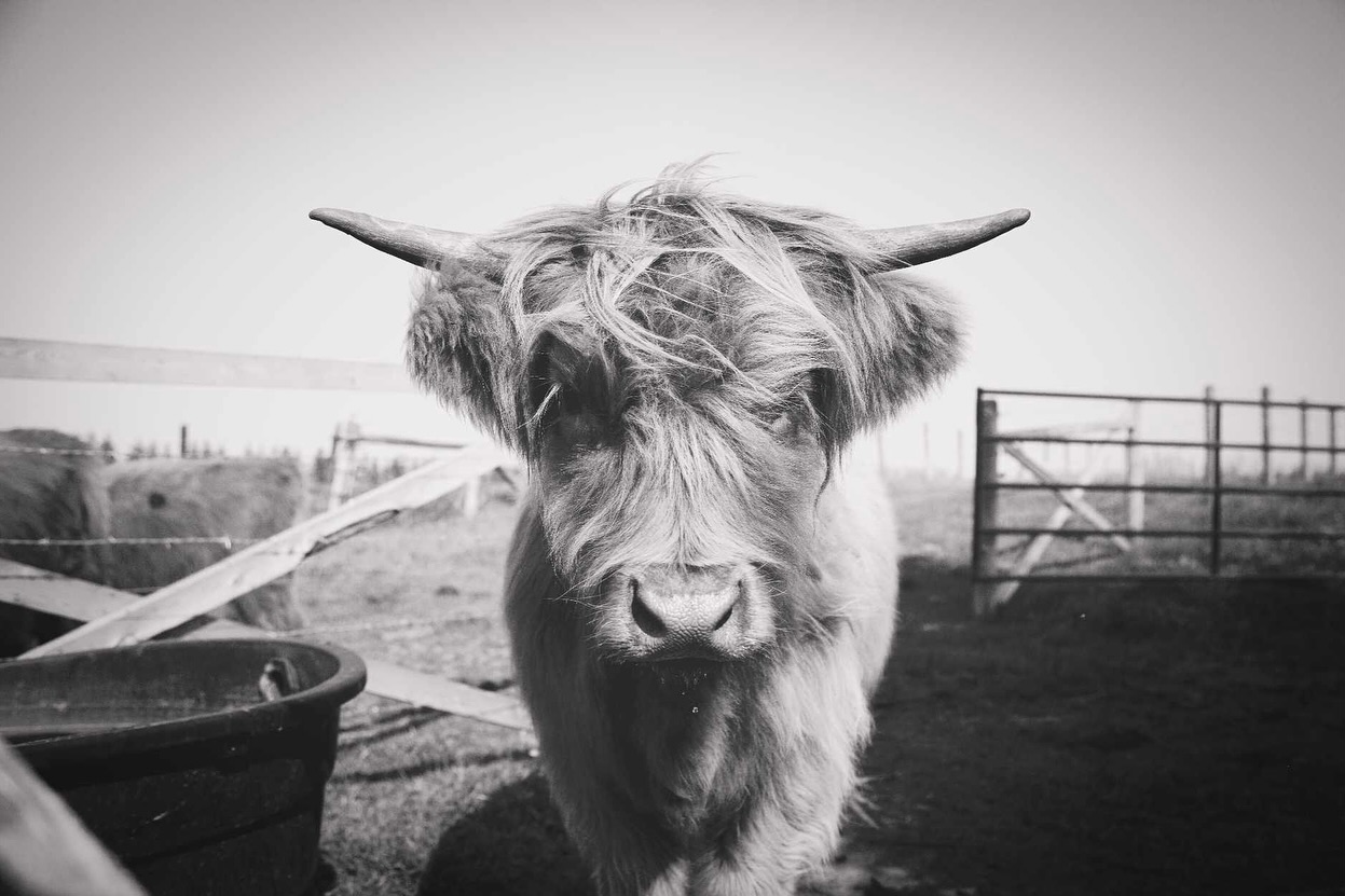 JR Ranch Alberta | Lamont AB