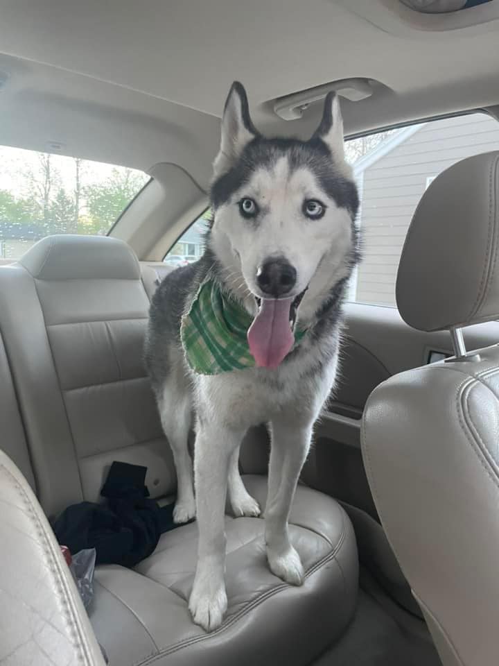 This little man found near 9 mile prairie, Johnsrud park. We are