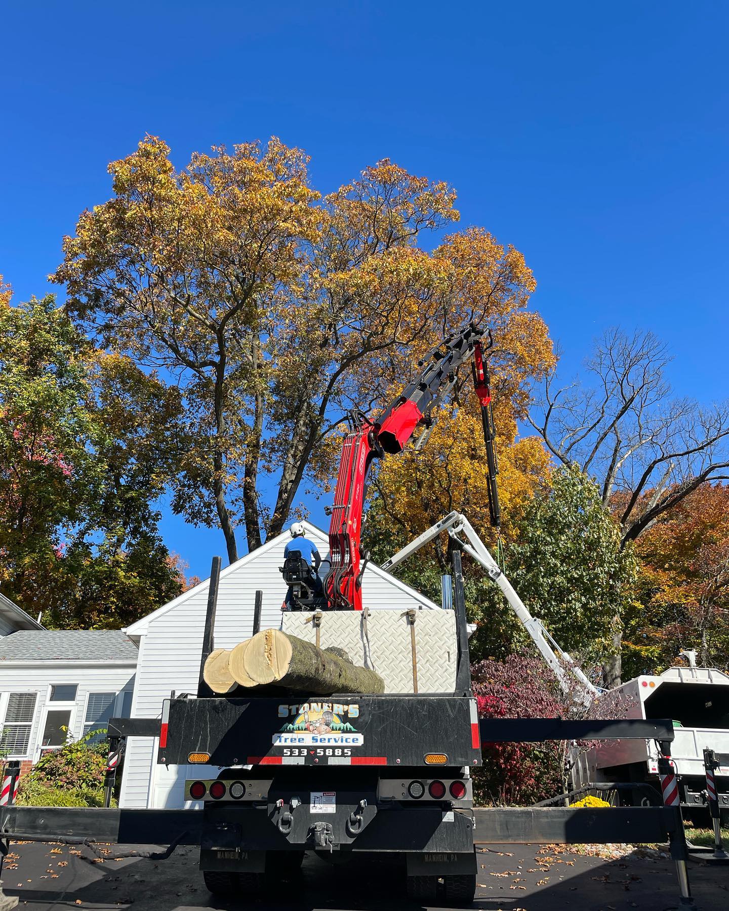 Stoner's Tree Service | Elizabethtown PA