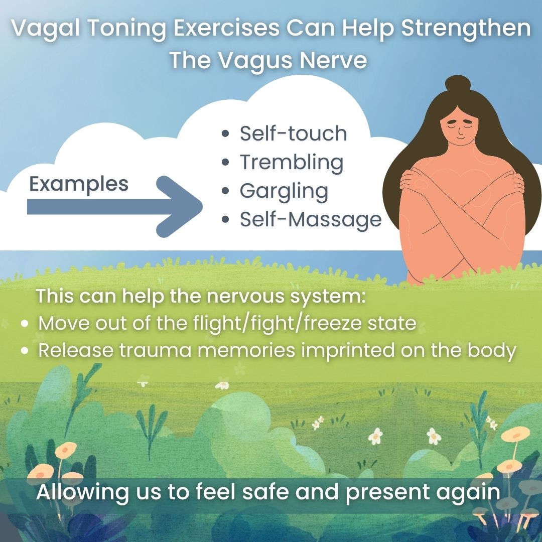 The vagus nerve is the main nerve... - Rewire Trauma Therapy | Facebook