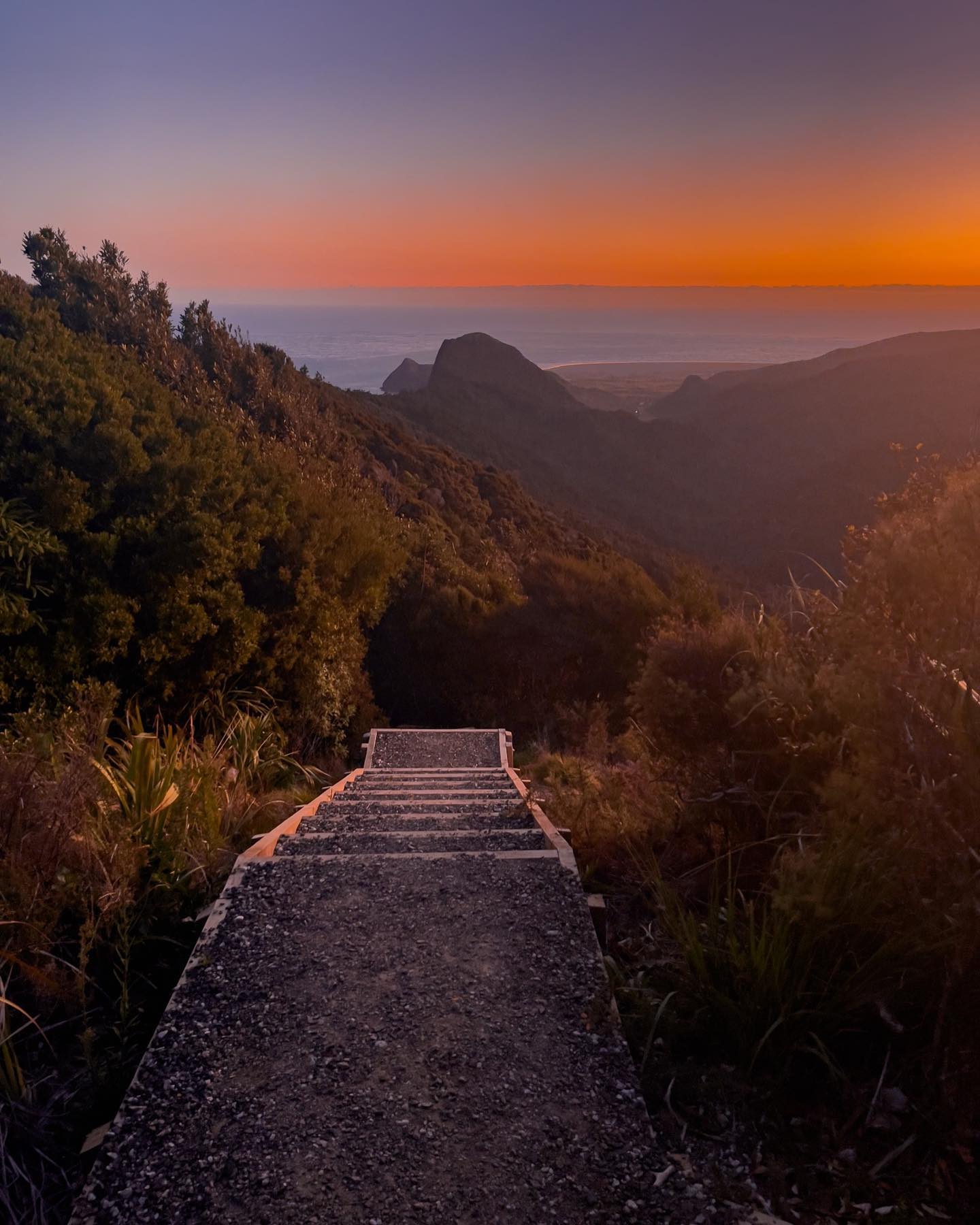 Trip Ideas - The Puriri Track starts out feeling like... | Facebook