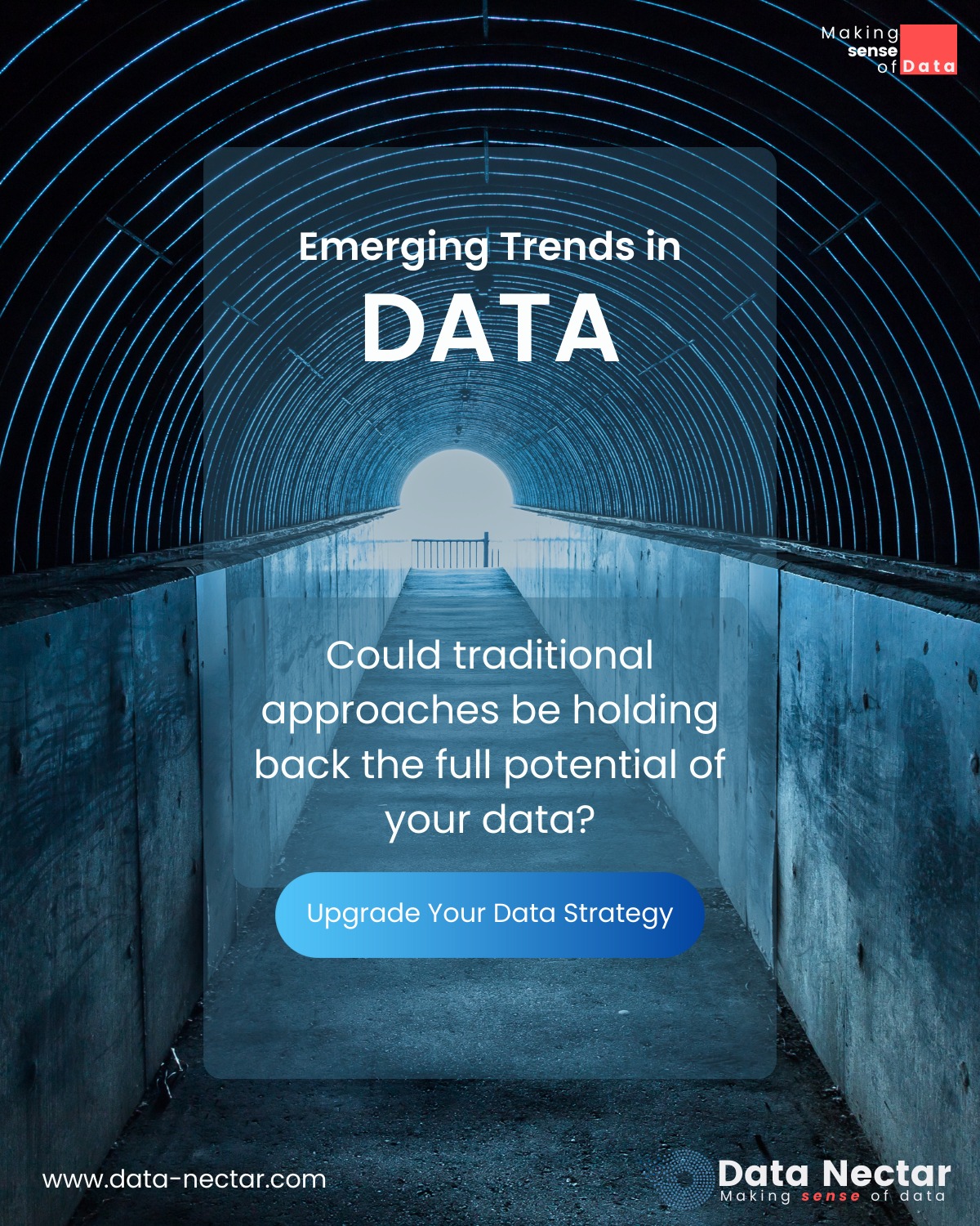 Data Nectar Technosys Pvt. Ltd.