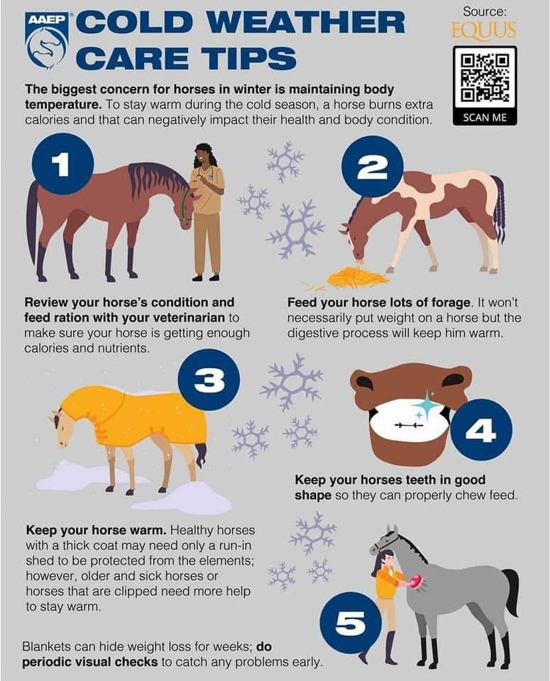 Hagyard Equine Medical Institute - Horses across the country are ...