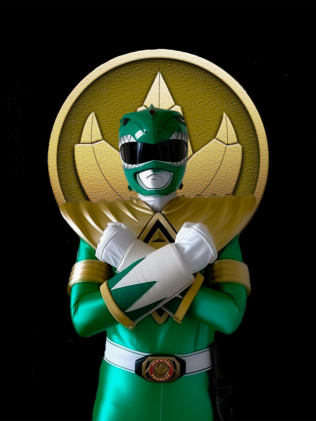 The Grid Ranger - To The Fall Of Zordon, and The Destruction of The ...