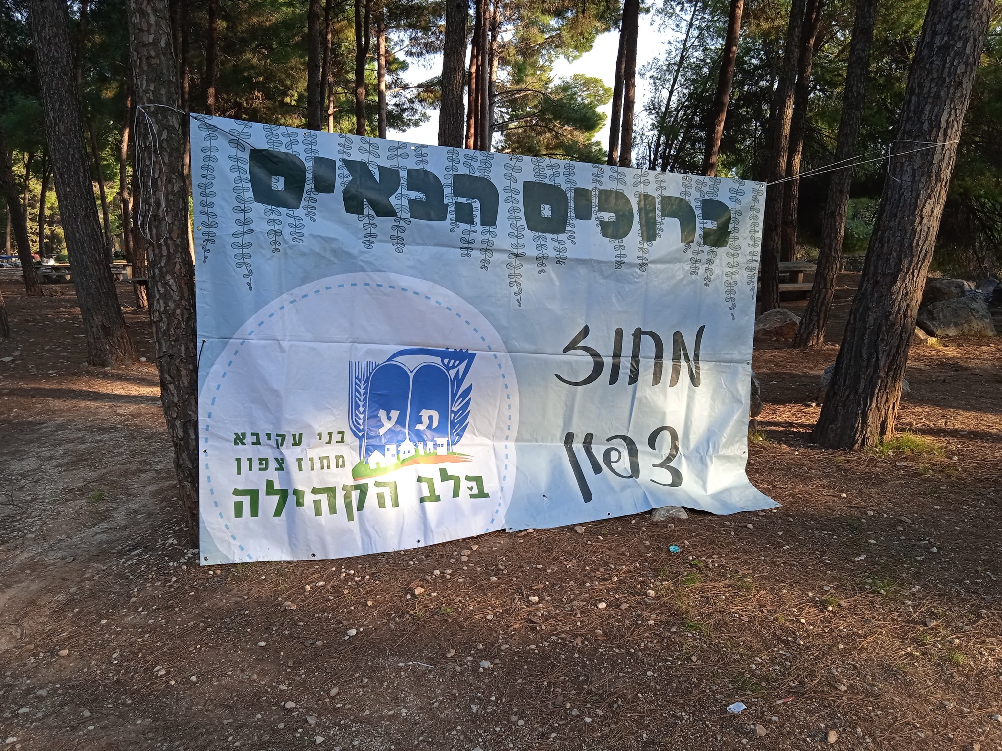 ‎בני עקיבא- מחוז יהודה... - בני עקיבא- מחוז יהודה - הדף הרשמי