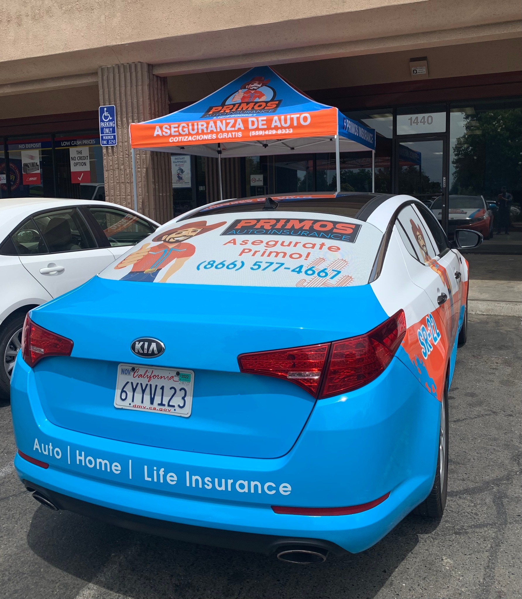 YA ESTAMOS MAS CERCA DE TI‼️ AHORA EN... - Primos Insurance | Facebook