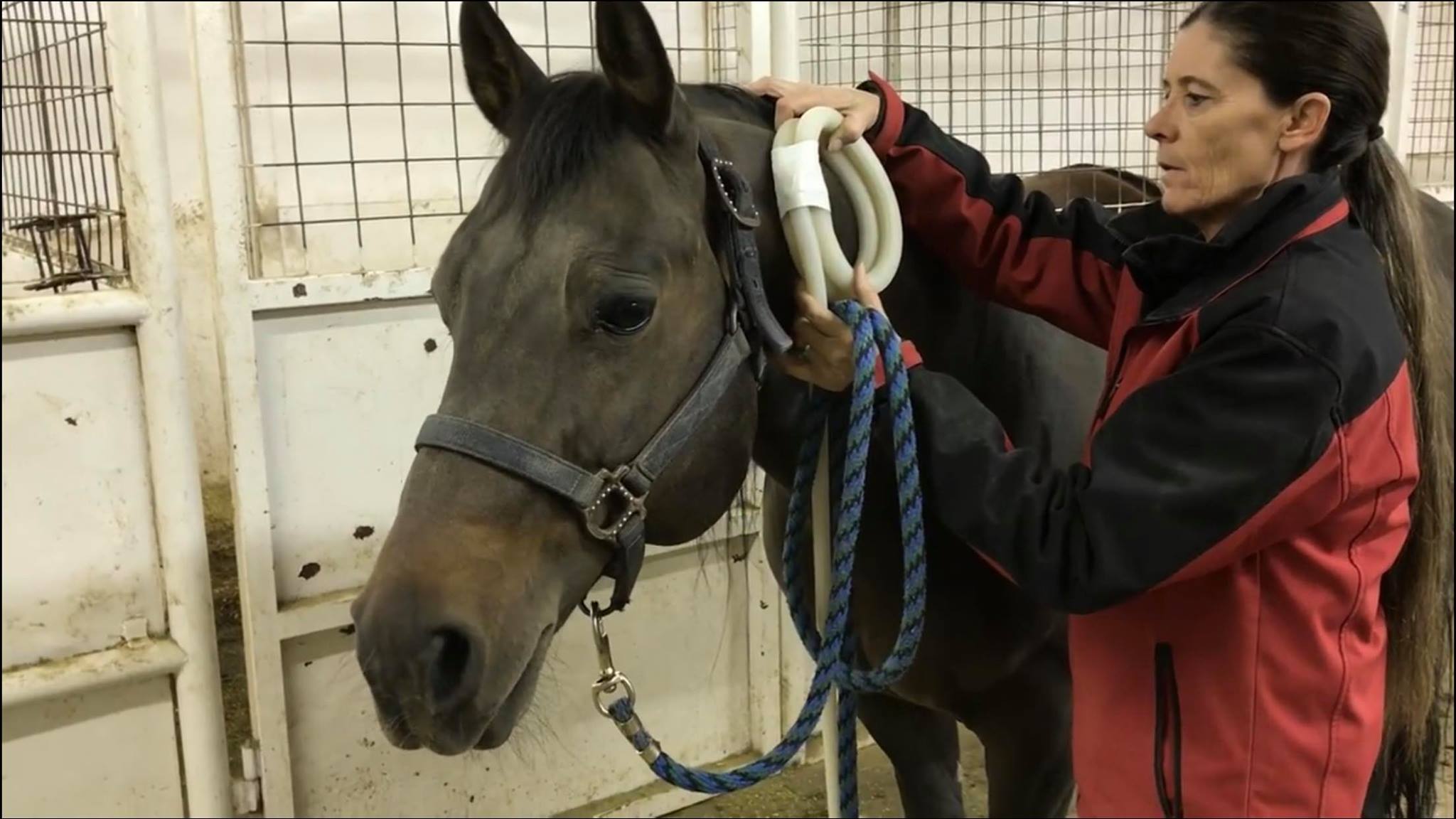 Lee Ann Thomas - Magna Wave PEMF Therapy | Amarillo TX