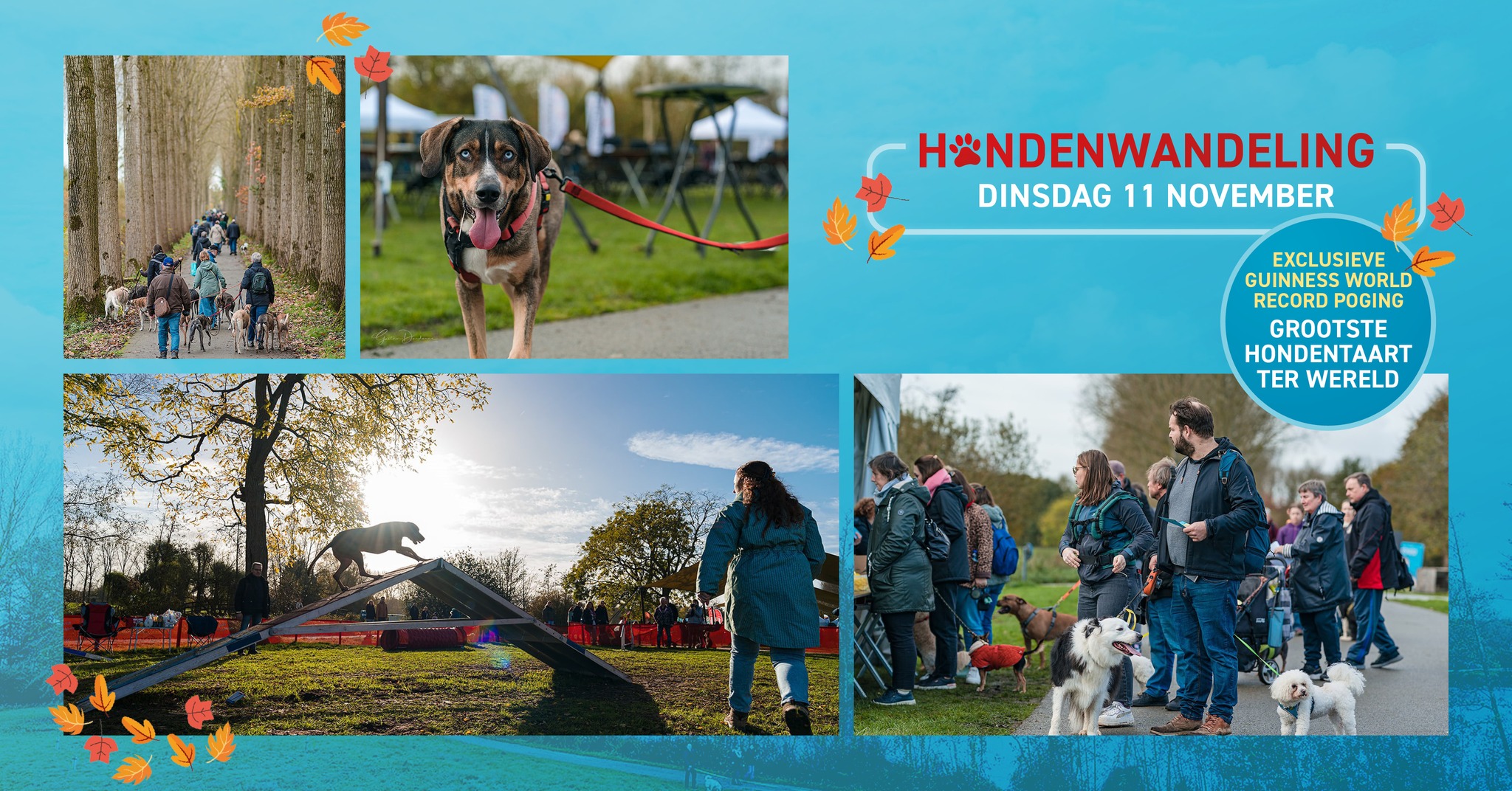 hondenwandeling-11-november