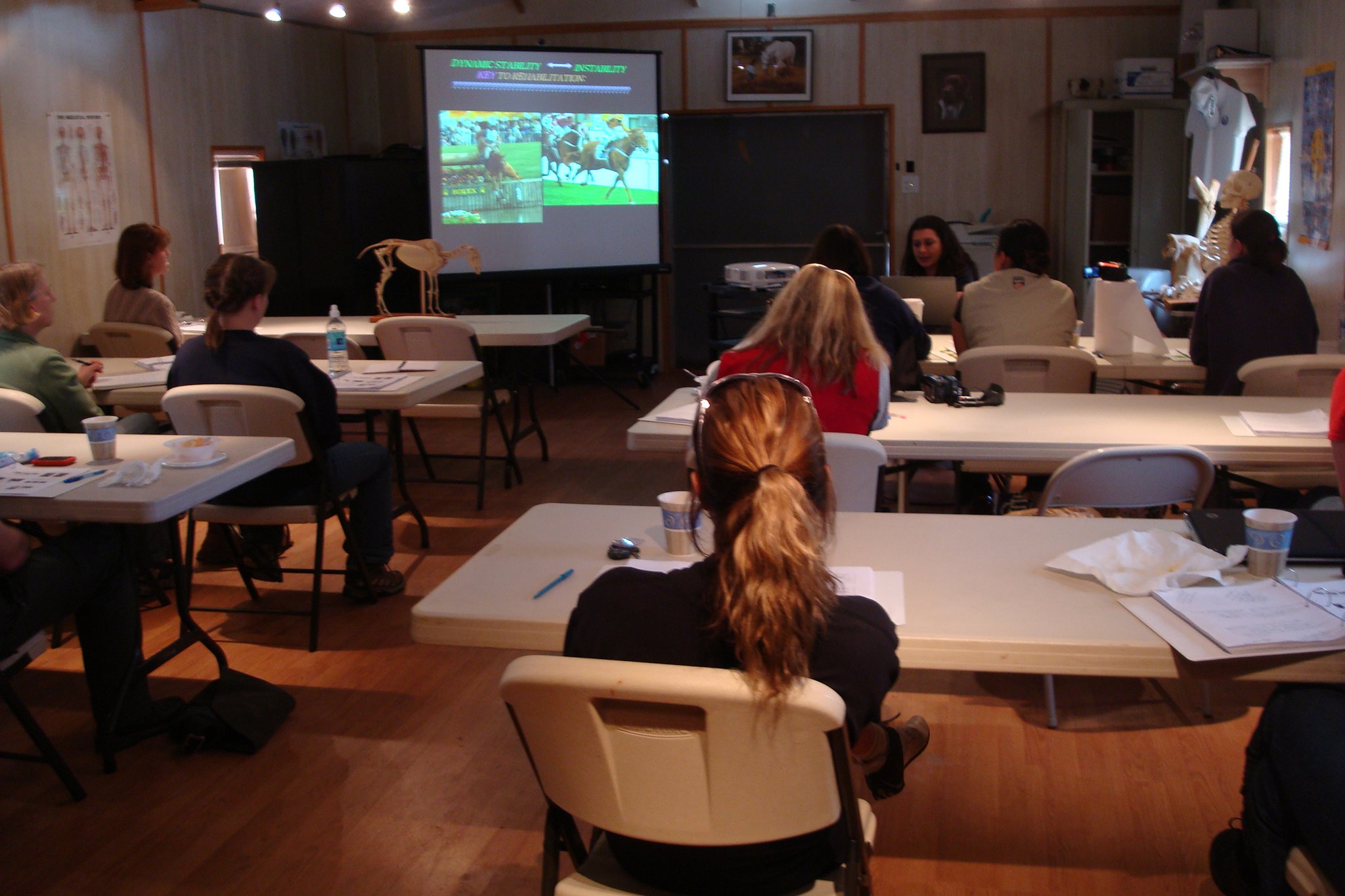 Registration Is NOW OPEN for the 2026 American College of Veterinary ...