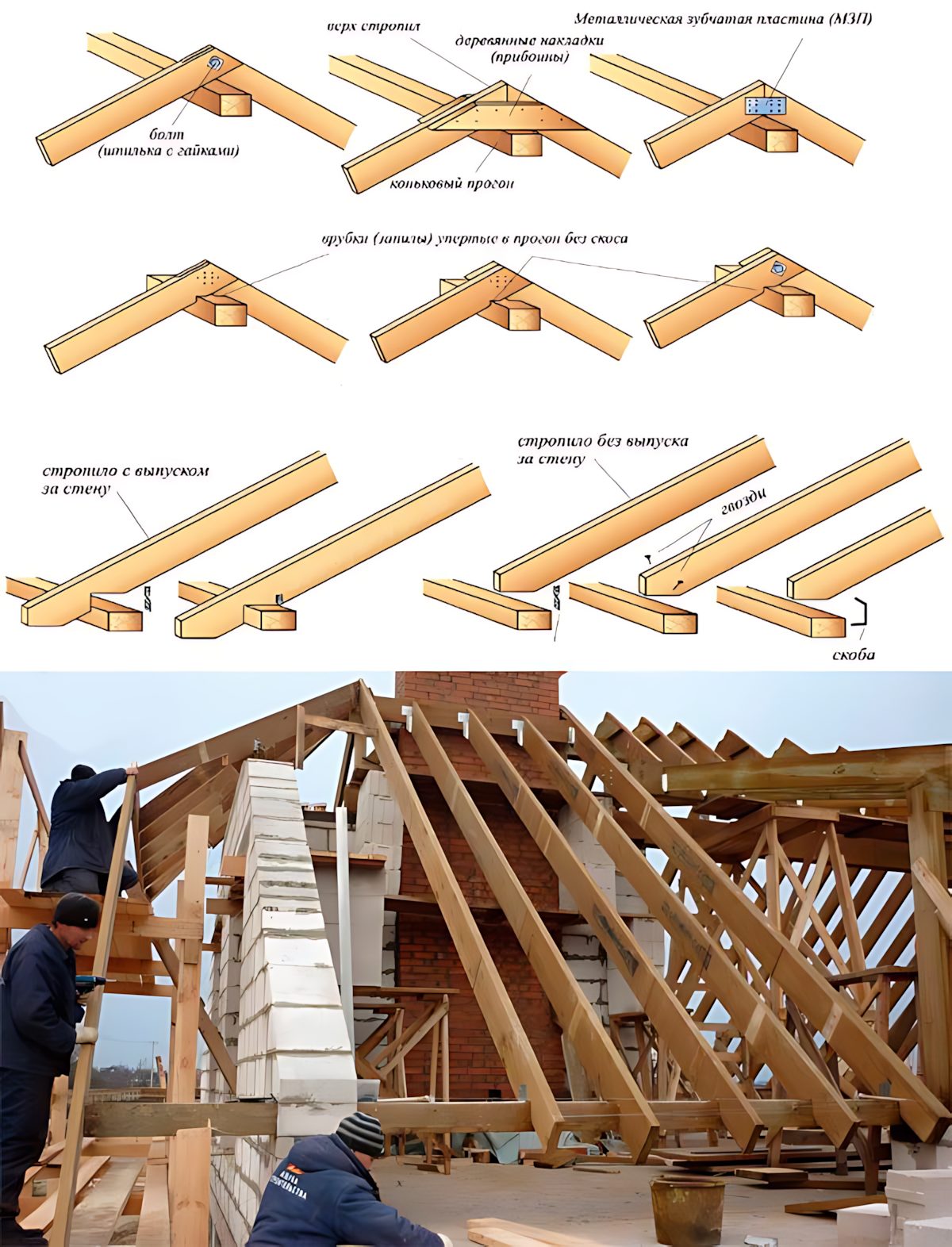 Nature’s - * Верх стропил (top of rafters) * Металлическая зубчатая ...